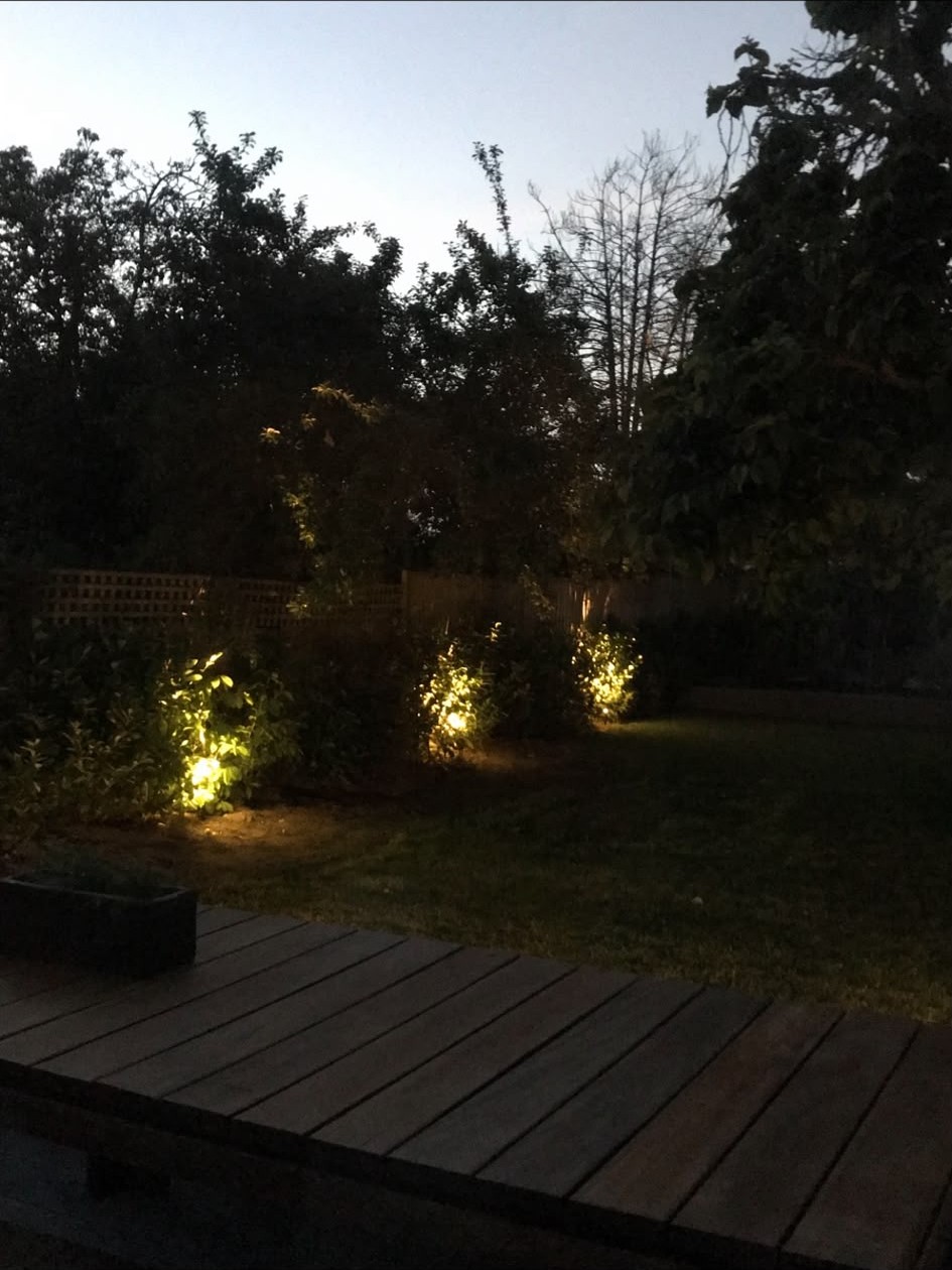 Garden spike lighting picking out planting beside a deck at night